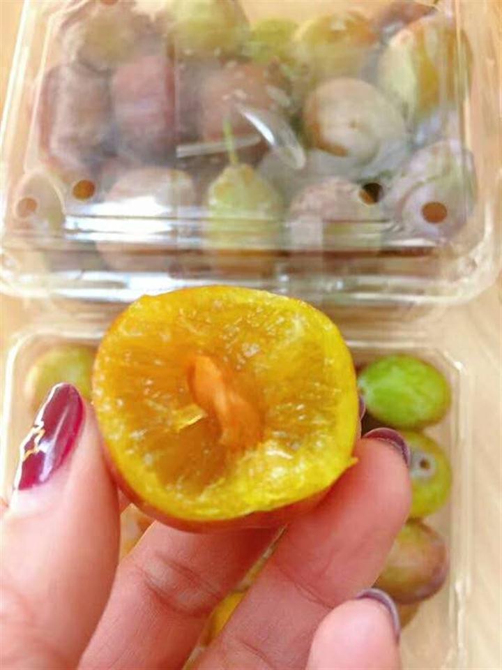 版纳西梅