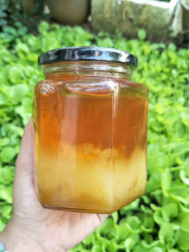 版纳蜂蜜
