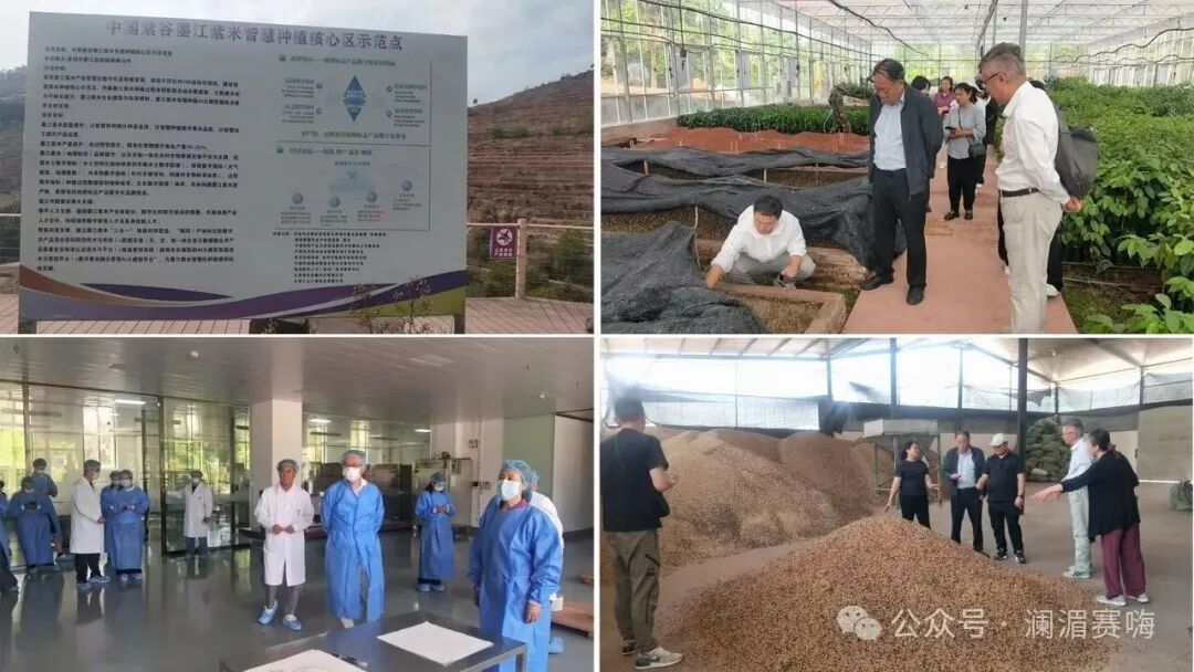 “慢生活快节奏”“三耦合三联动三转变”澜湄科创体系项目任务扎实落地