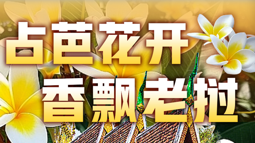 建交65周年 中国老挝合作“一路生花”香飘万里